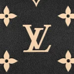Louis Vuitton Grand Palais MM M45842 - Image 4