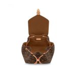 Louis Vuitton M45501 Montsouris PM - Image 4