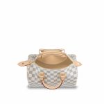 Louis Vuitton Speedy 25 N41371 - Image 5