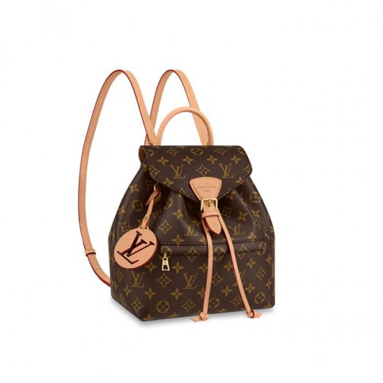 D8AE1876-5833-78EF-4E24-0AEEA4E84DE9.jpg Louis Vuitton M45501 Montsouris PM - Image 1