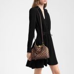 Louis Vuitton Damier Ebene coated canvas N41221 Alma BB - Image 3