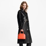 Louis Vuitton Minnesota Orange M22186 Alma BB - Image 7