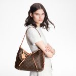 Louis Vuitton M46203 CarryAll PM - Image 7