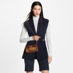 Louis Vuitton M68746 Dauphine Chain Wallet - Image 2