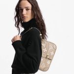 Louis Vuitton M46583 Diane Tourterelle Beige/Cream - Image 4