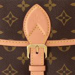 Louis Vuitton M46049 Diane Fuchsia - Image 10