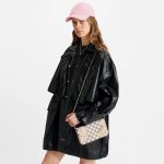 Louis Vuitton N40466 Félicie Pochette - Image 8
