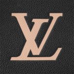 Louis Vuitton Bicolor Monogram Empreinte Leather M45842 Grand Palais - Image 5