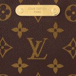 Louis Vuitton Monogram M83008 Liv Pochette - Image 6