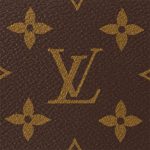 Louis Vuitton M46311 Loop Hobo Monogram - Image 6