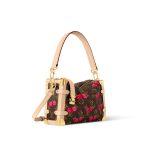 Louis Vuitton M14278 LV x TM Side Trunk MM - Image 4