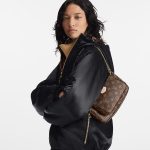 Louis Vuitton M44840 Multi-Pochette Accessoires - Image 8