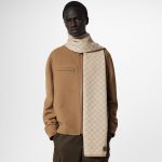 Louis Vuitton Beige M77986 Néo Petit Damier Scarf - Image 6