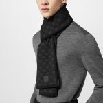 Louis Vuitton Anthracite M77988 Néo Petit Damier Scarf - Image 4