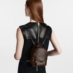 Louis Vuitton Monogram M44873 Palm Springs Mini - Image 8