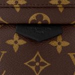 Louis Vuitton Monogram M44871 Palm Springs PM - Image 3
