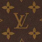 Louis Vuitton Monogram M81295 Petit Sac Plat - Image 5
