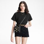Louis Vuitton M81416 Petit Sac Plat - Image 9