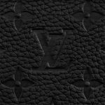 Louis Vuitton Monogram Taurillon Leather M55700 Soft Trunk - Image 5