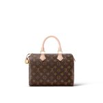 Louis Vuitton Speedy 25 M41109 - Image 8