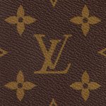 Louis Vuitton Speedy Bandouliere 25 M41113 - Image 5